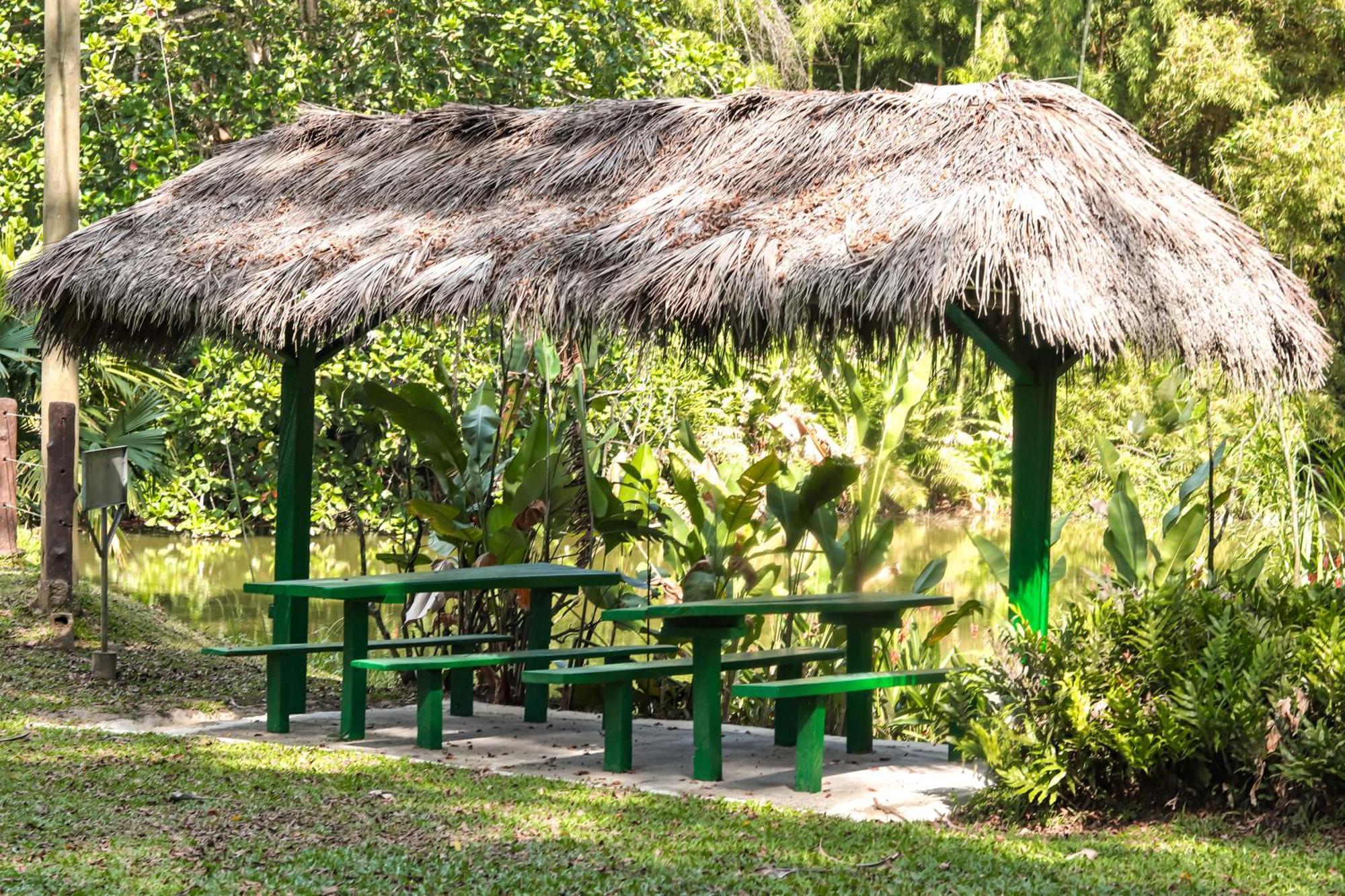 Los Colores Ecoparque Doradal Luaran gambar