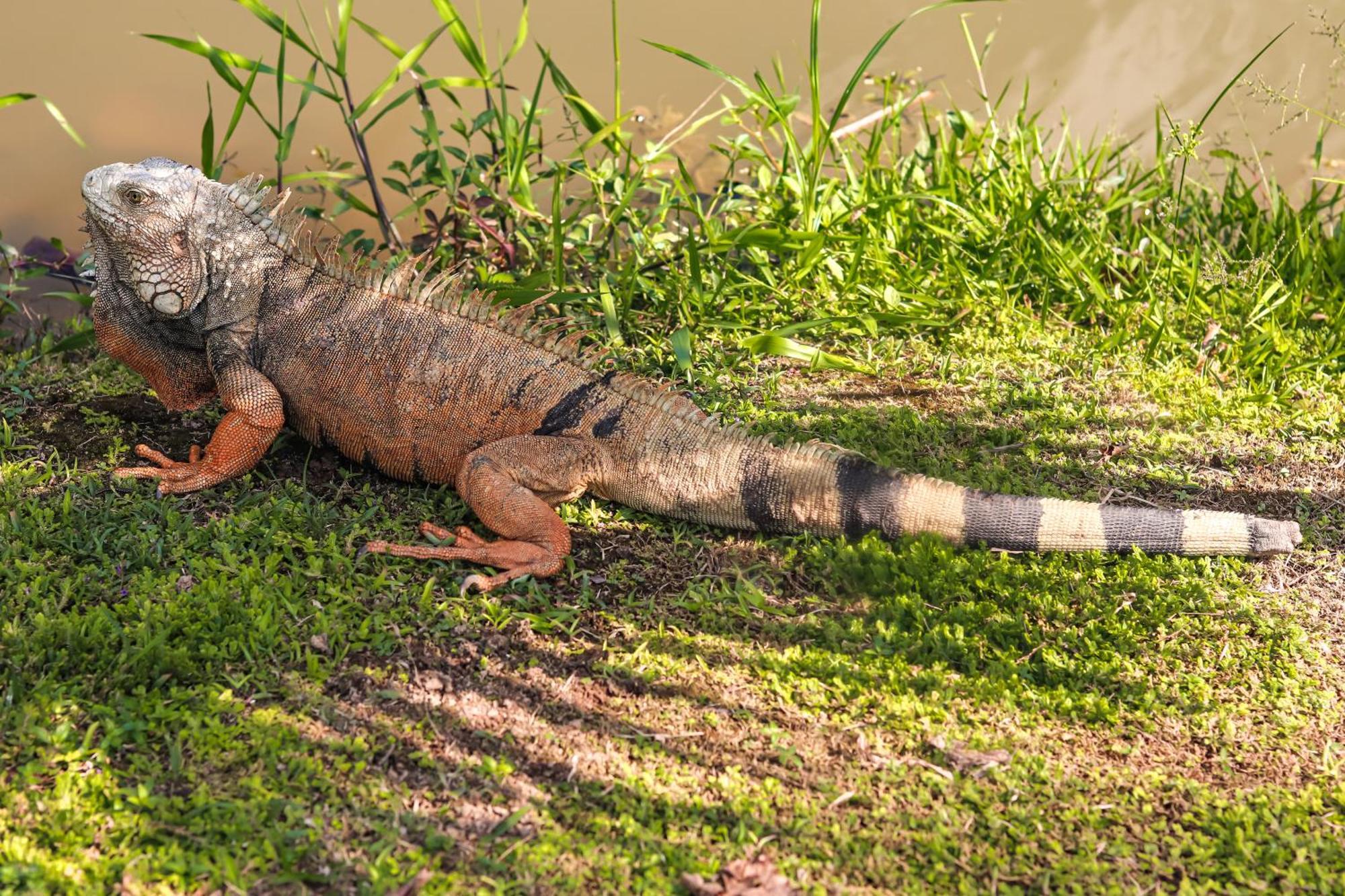 Los Colores Ecoparque Doradal Luaran gambar