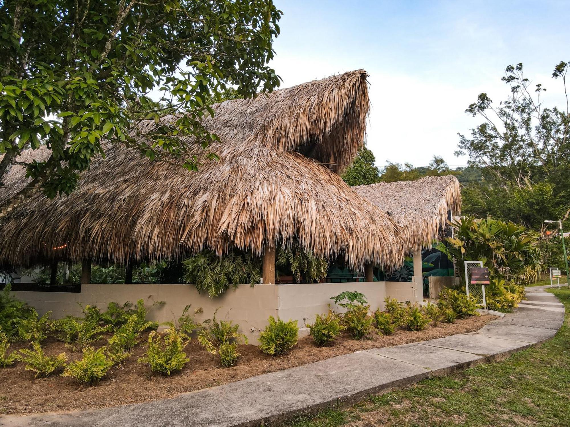 Los Colores Ecoparque Doradal Luaran gambar